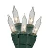 Vickerman Christmas Light String Set (010709)