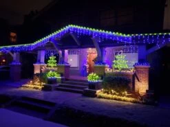 Vickerman Christmas Light String Set (521007) -Cheap Vickerman Store 145681md