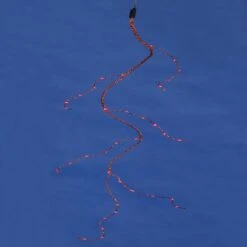 Vickerman Christmas Light String Set (20357)