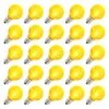 Vickerman LED Light Bulb (25 Pack) (300596)