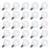 Vickerman Replacement LED Light Bulb (25 Pack) (317112)
