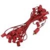 Vickerman Christmas Light String Set (36038)