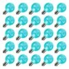 Vickerman Replacement LED Light Bulb (25 Pack) (398418)
