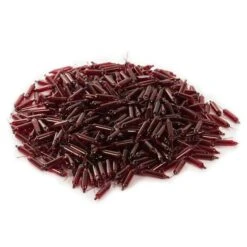 Vickerman Incandescent Mini Replacement Bulbs (500 Pack) (653944) 5 Vickerman Incandescent Mini Replacement Bulbs (500 Pack) (653944) -Cheap Vickerman Store 646502pilemd