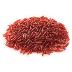 Vickerman Incandescent Mini Replacement Bulbs (500 Pack) (653982) 5 Vickerman Incandescent Mini Replacement Bulbs (500 Pack) (653982) -Cheap Vickerman Store 646540pilemd 2