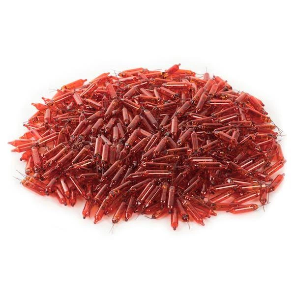 Vickerman Incandescent Mini Replacement Bulbs (500 Pack) (646724) 3 Vickerman Incandescent Mini Replacement Bulbs (500 Pack) (646724) - Image 3