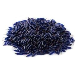 Vickerman Incandescent Mini Replacement Bulbs (500 Pack) (646496) -Cheap Vickerman Store 646670pilemd