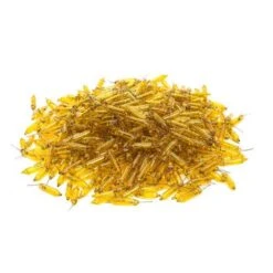 Vickerman Incandescent Mini Replacement Bulbs (50 Pack) (646625) -Cheap Vickerman Store 646717pileamd