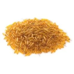 Vickerman Incandescent Mini Replacement Bulbs (500 Pack) (653975) 5 Vickerman Incandescent Mini Replacement Bulbs (500 Pack) (653975) -Cheap Vickerman Store 646717pilemd 1