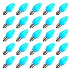 Vickerman Christmas Light Bulb Replacement (25 Pack) (647950)
