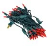Vickerman LED String Set (687758)