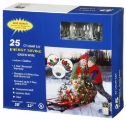 Vickerman Christmas Light String Set (76101) -Cheap Vickerman Store 76101Boxedmd